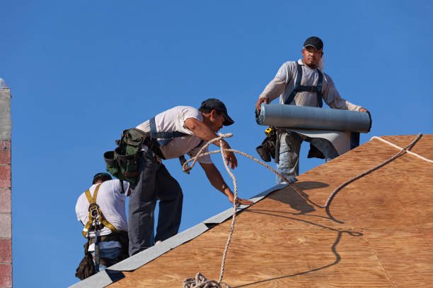 Roof Gutter Cleaning in Campbell, MO